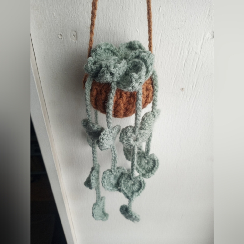 Crochet Hanging Succulent Plant Decor